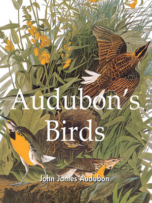 cover image of Audubon's Birds